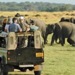 Sri-Lanka-Tourist-attraction-Yala-National-Park-2
