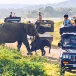 Wildlife-Safari-Sri-Lanka